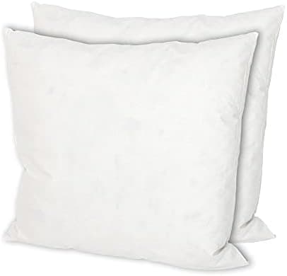 MSS e.K. 2er Set Federkissen | 30 x 40 cm | 100% Baumwolle | NOMITE Zertifiziert - milbenfrei
