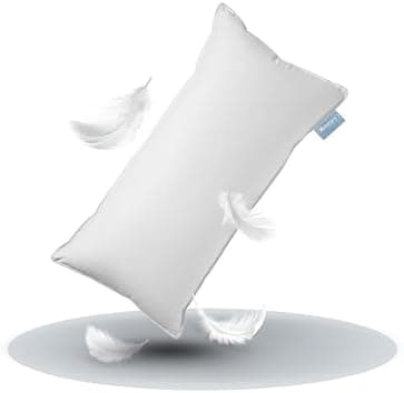 XDREAM Premium Daunenkissen 2er Set für Herren | Schlafzimmer |-pagination comfort-| 100% Baumwollhülle | 100% Daunen &