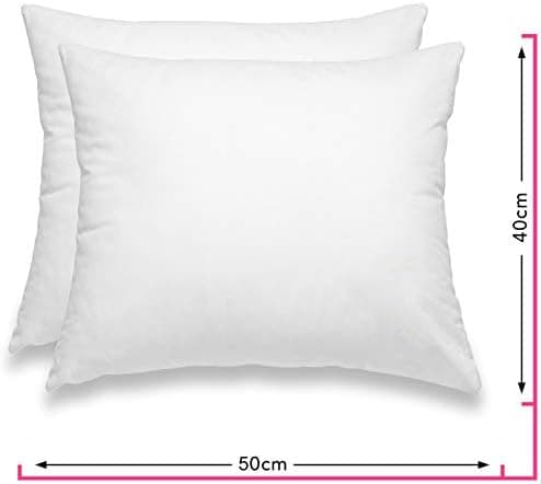 Wometo 2er Set Federkissen: 100% Federn, 40x60-600g, Oeko-TEX, Baumwollbezug, weiß, kleine Kopfkissen, 2 Stück, OEKO-TEX