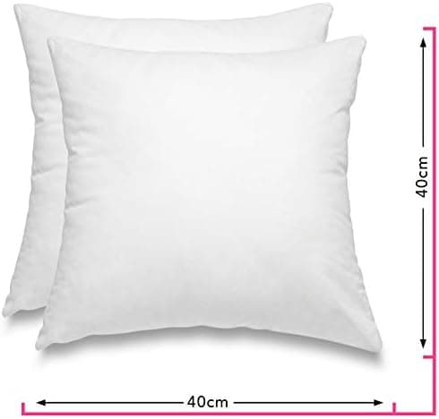 Wometo 2er Set Federkissen: 100% Federn, 40x60-600g, Oeko-TEX, Baumwollbezug, weiß, kleine Kopfkissen, 2 Stück, OEKO-TEX