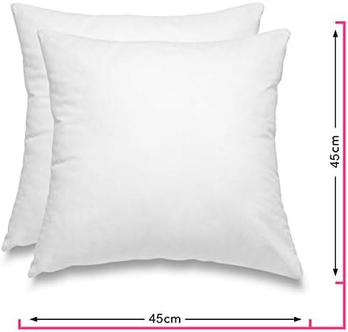 Wometo 2er Set Federkissen: 100% Federn, 40x60-600g, Oeko-TEX, Baumwollbezug, weiß, kleine Kopfkissen, 2 Stück, OEKO-TEX