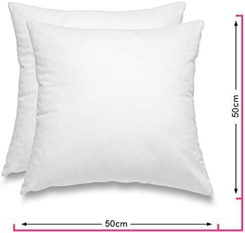 Wometo 2er Set Federkissen: 100% Federn, 40x60-600g, Oeko-TEX, Baumwollbezug, weiß, kleine Kopfkissen, 2 Stück, OEKO-TEX