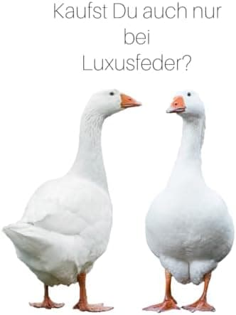 Luxusfeder 2er Sofakissen - Daunen Füllung 300g - 100% Baumwolle Bezughülle - Öko-Tex 

Luxusfeder 2er Sofakissen - Daun