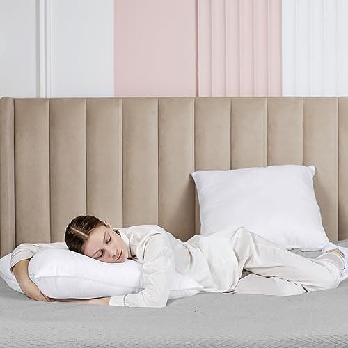 Utopia Bedding 2er Set Weiß - Innenkissen Füllkissen OEKO-TEX STANDARD 100