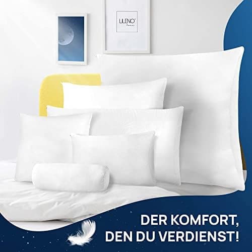 LILENO HOME Federkissen 40x40 cm - perfekt für Allergiker und Kinder - Federkernkissen mit 300 g Federkern-Profil für tr