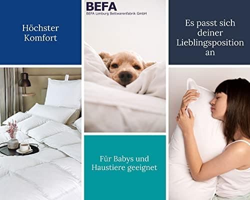 BEFA NATUR Federkissen 80x80 cm (2 Stück) | 100% Federn | Tierwohl zertifiziert | Allergiker geeignet | OEKO-TEX Klasse