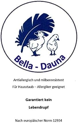 Hofmann Bella Star Kopfkissen 50x50 Federkissen für Schlafzimmer 20% Daunen 400 g straff gestopft
| Hofmann Bella Star