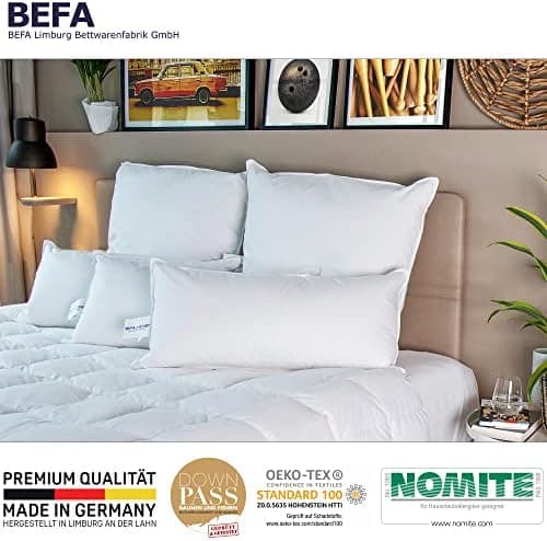 BEFA NATUR Federkissen 80x80 cm (2 Stück) | 100% Federn | Tierwohl zertifiziert | Allergiker geeignet | OEKO-TEX Klasse