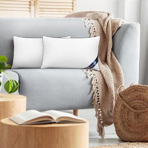 Utopia Bedding 2er Set Kissen 40x40 cm, Weiß - Deko und Ergonomie für Bett und Sofa (OEKO-TEX STANDARD 100)  
Utopia Bed