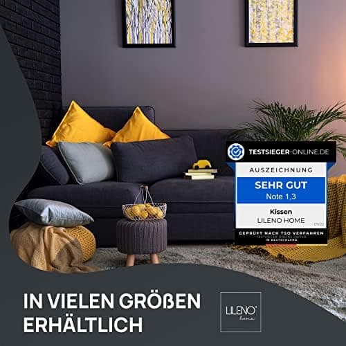 LILENO HOME 40x40 cm waschbares Kissenfüllmaterial - ideal für Allergiker und Couchkissen, Sofa Kissen, Cocktailkissen u