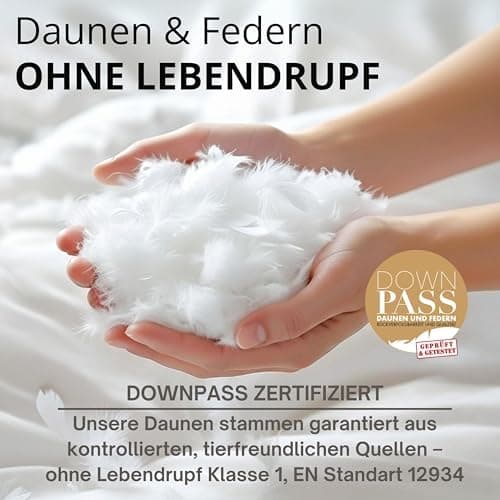 2er Set Kopfkissen 80x80 cm mit 90% Daunen | Allergiker geeignet | Ergonomisches Kissen | Federkissen 80 x 80 cm OEKO-TE