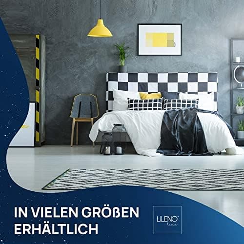 LILENO HOME Federkissen 40x40 cm - perfekt für Allergiker und Kinder - Federkernkissen mit 300 g Federkern-Profil für tr
