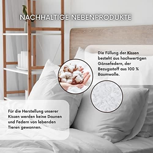 MSS e.K. 2er Set Federkissen | 30 x 40 cm | 100% Baumwolle | NOMITE Zertifiziert - milbenfrei