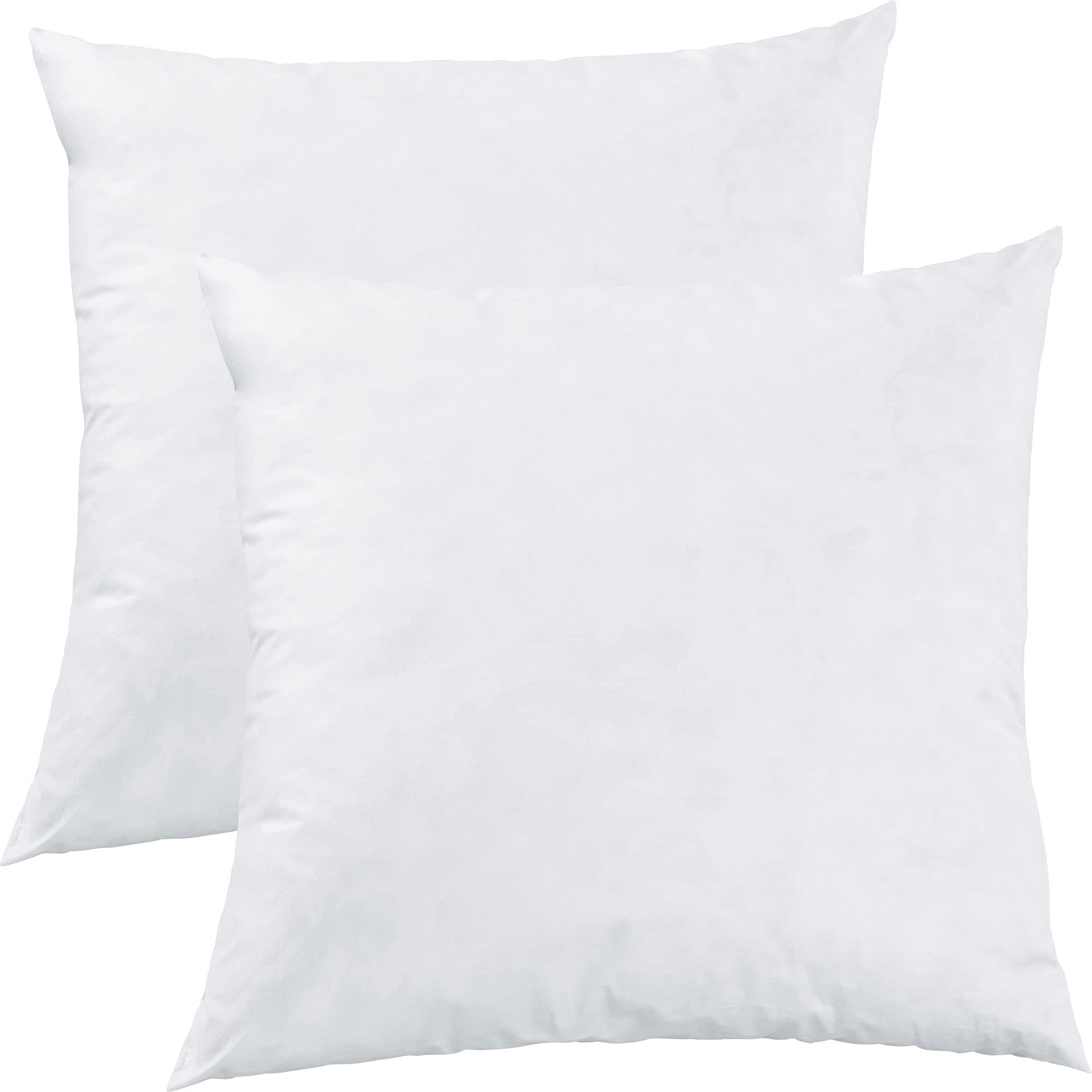 Erwin Müller Riga 2er-Pack 100% Federn weiß 50x50 cm Schlafkomfort