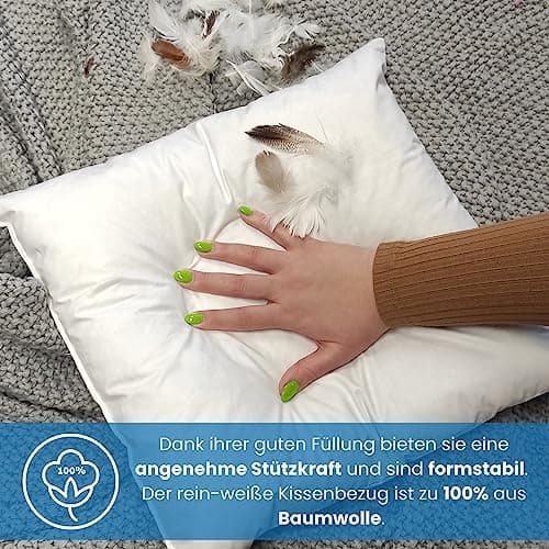 Wometo 2er Set Federkissen: 100% Federn, 40x60-600g, Oeko-TEX, Baumwollbezug, weiß, kleine Kopfkissen, 2 Stück, OEKO-TEX